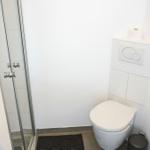 Toilette mit Dusche und Toilettenpapier