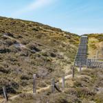 Holzsteg führt durch Dünenlandschaft unter blauem Himmel.