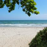 Strand mit Sand, Meer und grünen Pflanzen unter blauem Himmel.