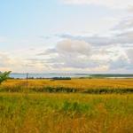 Weitläufiges Feld mit Blick auf einen See unter bewölktem Himmel.