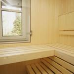 Sauna mit Holzbänken und Fensterblick auf Wald