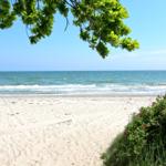 Strand mit Sand, Meer und grüner Vegetation unter blauem Himmel.