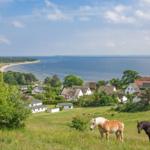 Zwei Pferde grasen auf einer Wiese mit Blick auf das Meer und Häuser.