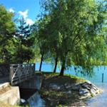 Holzbrücke über kleines Wasserbett am Seeufer mit Bäumen