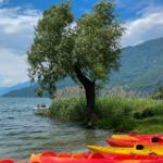 Rote und gelbe Kajaks am Ufer, ein Baum und Berge im Hintergrund.