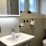Badezimmer mit Waschbecken, Spiegel und Toilette. Fenster mit kleinen Pflanzen.