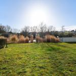 Grüner Rasenbereich mit hohem Gras und Bäumen im Hintergrund unter blauem Himmel.