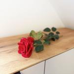 A red rose lies on a wooden surface next to white cabinets.