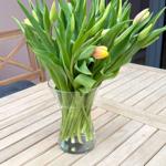 Tulips in glass on terrace table