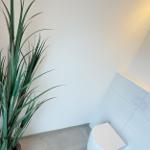 Toilet with plant and tiled floor