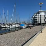 Marina mit Booten und modernem Gebäude am Ufer