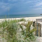 Strand mit Dünen, Gräsern und Blick auf das Meer unter bewölktem Himmel.