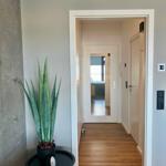 Hallenraum mit Holzboden, Pflanze auf Tisch und Blick in Wohnbereich.