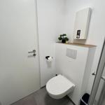 Toilettenraum mit WC, Spülung und kleinen Pflanze.