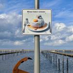 Schild verbietet es, Möwen zu füttern. Hintergrund: Hafen mit Stegen und blauem Himmel.