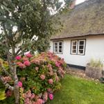 Haus mit Strohdach, Blumenbeet und Grasfläche