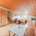 Wohnraum mit Schlafbereich, Fernseher und Holzdecke.