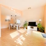 Wohn- und Essbereich mit Holzboden, TV, Pflanzen und Tisch mit Stühlen.