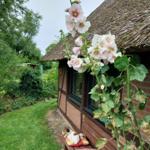Gartenansicht mit Sitzbank