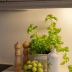 Kitchen countertop with basil, green grapes, and wooden pepper mill.