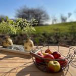 Gartenblick