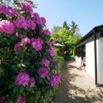 Gartenblick