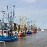 Fischerboote liegen im Hafen von Dorum in einer Reihe.