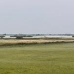 Landschaft