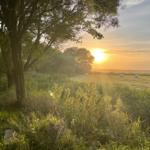 Landschaft