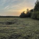 Landschaft