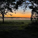 Landschaft