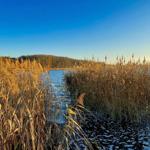 Landschaft