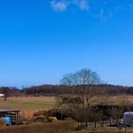 Blick ins Grüne von der Rückseite der Ferienwohnung Reimann 2
