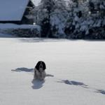 Spaß im Schnee