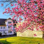 residieren in malerischer Stadtvilla mit Stil und Charme
