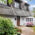 House with thatched roof, white facade, and blooming plants in the front garden.