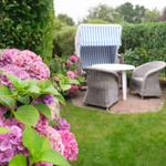 Garten mit blau-weißem Sonnenschirm, Wickerstühlen und rosa Hortensien.