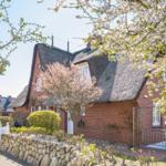 Red brick house with thatched roof, surrounded by blooming trees and stone walls.