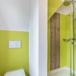 Badezimmer mit Dusche und Toilette, leuchtend grüne Wände und Holzelement.