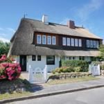 House with thatched roof, white window frames, and blooming rose bushes.