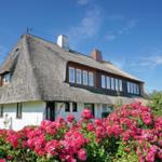 House with thatched roof and pink rose hedge under blue sky.