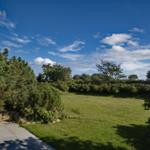 Green lawn area with trees and a path. Sky with white clouds.