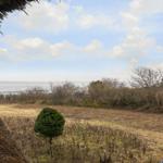 Dach aus Stroh, Blick aufs Meer und einen Garten mit einem Baum.