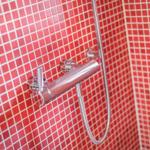 Shower head with faucet on red mosaic tiles