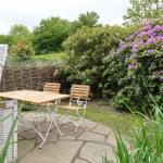 Terrace with table, two chairs, and blooming shrub