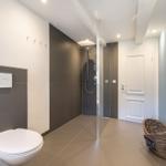 Bathroom with shower, toilet, and heater. Walls are gray and light blue.