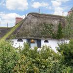 House with thatched roof and white walls, surrounded by greenery.