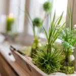 Holzschale mit Pflanzen und Glasflaschen am Fenster