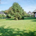 Large green garden with tree and house in background.