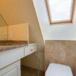Bathroom with sink, mirror, and skylight